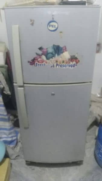 PEL fridge 0