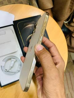 iPhone 12 Pro Max 256 GB 0