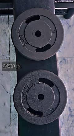 5 kg rubber coated pair plate or 10 kg metal plate pair