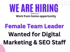 Female Digital Marketing & SEO Expert / Team Leader/work from home