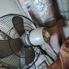 pedestal fan / standing fan