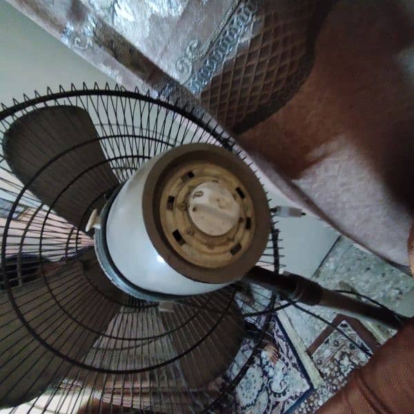 pedestal fan / standing fan 3