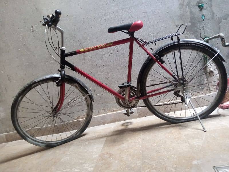 Phoenix bicycle new condition 1