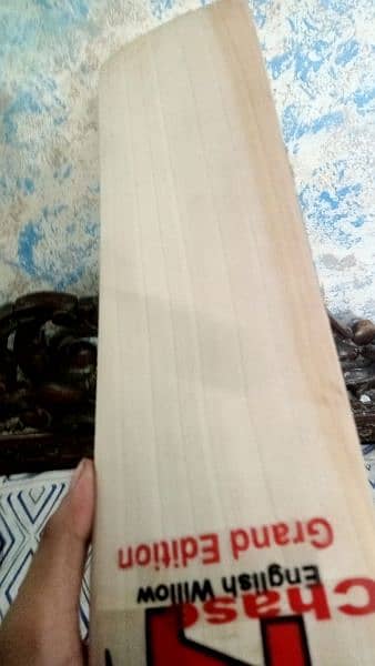 MRF professional bat 1