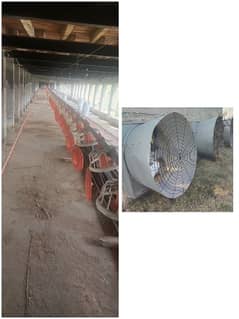 poultry farm equipment and Roof for sale