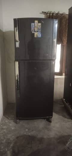 dowlance medium size fridge