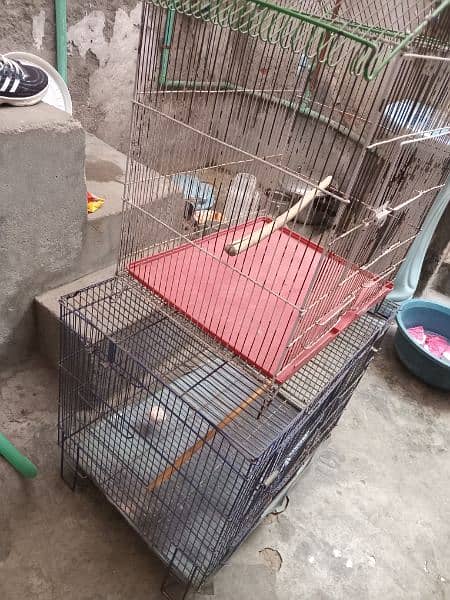 Bird cage 2