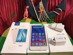 Vivo Y67 4gb/64gb PTA Approved O3355361156