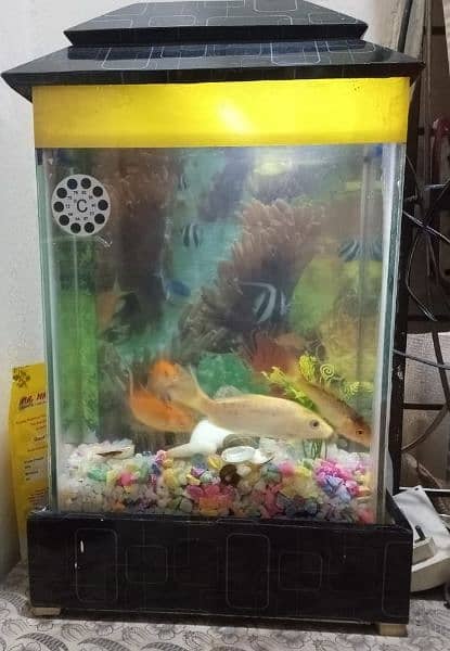 Fish Aquarium with fishes & accessories 2