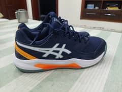 ASICS Dedicate 8 Joggers/running shoes/sports shoes/imported