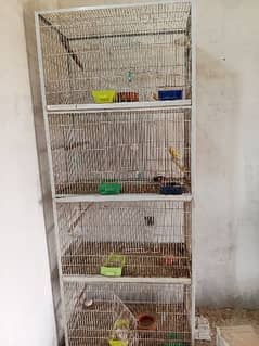 cage  love birds