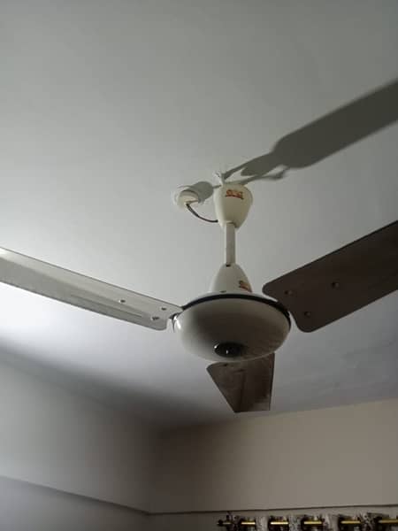 Ceiling fans for sale 1