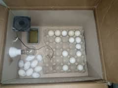 Incubator for sle 30 to 45 eggs