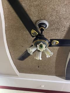 used but not use more branded heavy fan