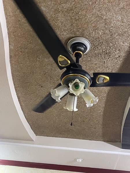 used but not use more branded heavy fan 0