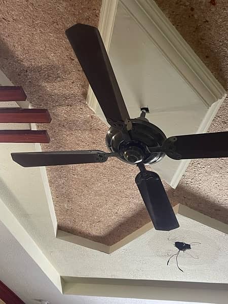 used but not use more branded heavy fan 4
