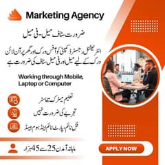 Freshers required for office