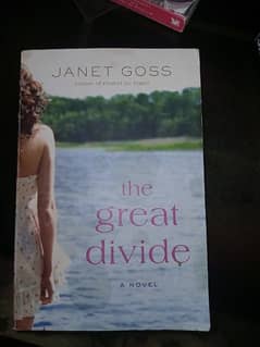The Great Divide by janet gross