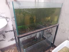 2 Aquarium with iron stand