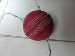 Hard ball cricket