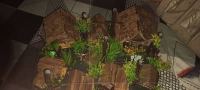 wooden jungle