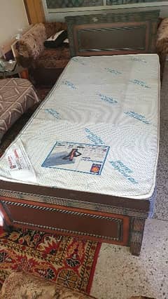 Molty Ortho Cool Gel mattress for sale.