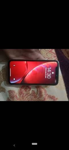 iPhone XR converted to 13 pro max non pta