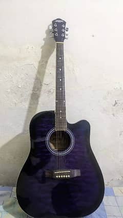 ACOUSTIC GUITAR FOR PROFESSIONALS