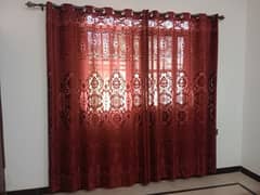 Rim Palachi net & velvet Fabric Curtains just like new