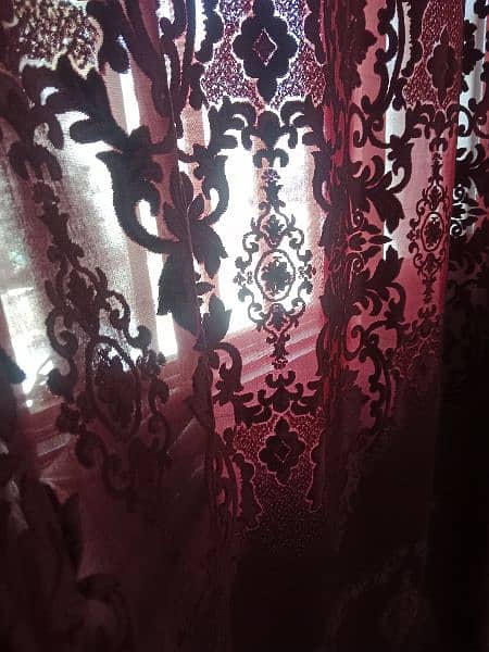 Rim Palachi net & velvet Fabric Curtains just like new 1