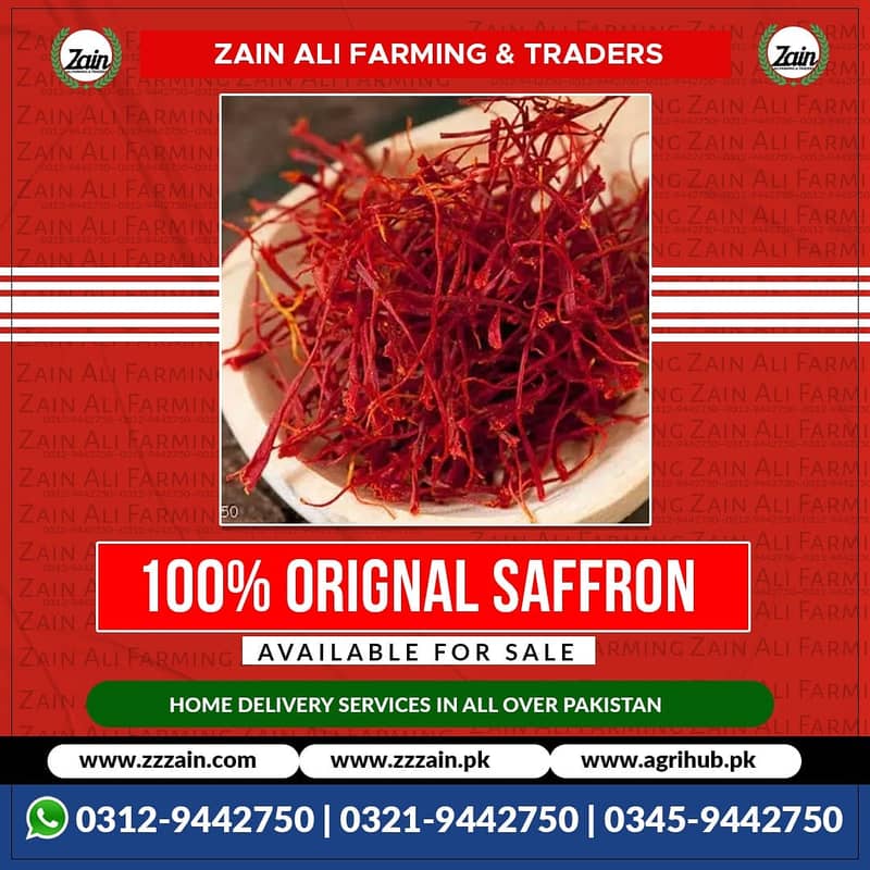 We Have Dragon fruit plants/ Seeds 03459442750 Zain Ali Farming and T 3