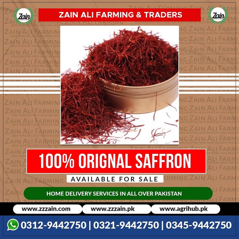 We Have Dragon fruit plants/ Seeds 03459442750 Zain Ali Farming and T 4