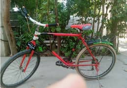 phoenix cycle for sale
