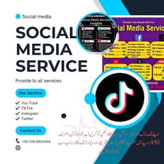 Provide All Social Media Service