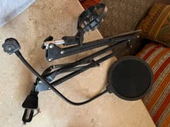 mic stand with voice filter