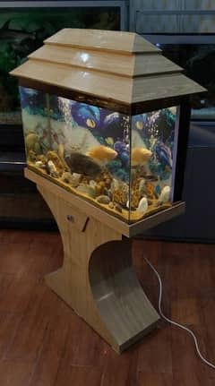 Wooden Aquarium
