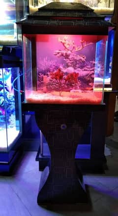 Best Wooden Aquarium