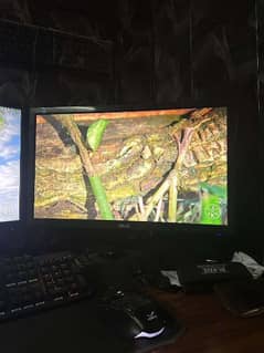 ASUS 22" INCH LCD 60hz