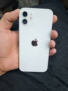 I phone 12 non pta factory unlocked Available 0