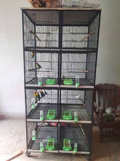 8 Portion Cage For Love Birds