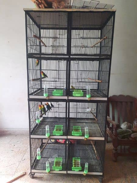 8 Portion Cage For Love Birds 0