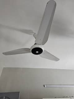 Sk Ceiling Fan 56" Home Used