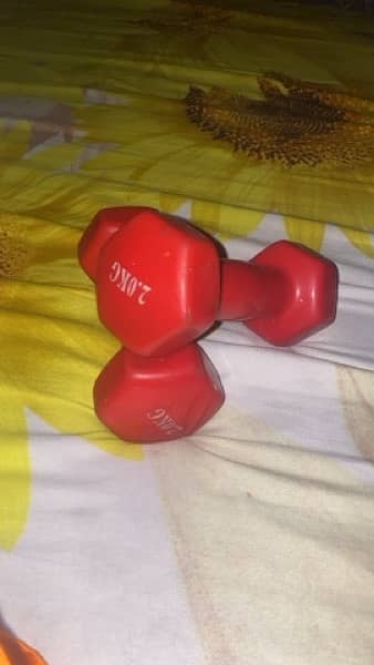 2kG dumbbells 0