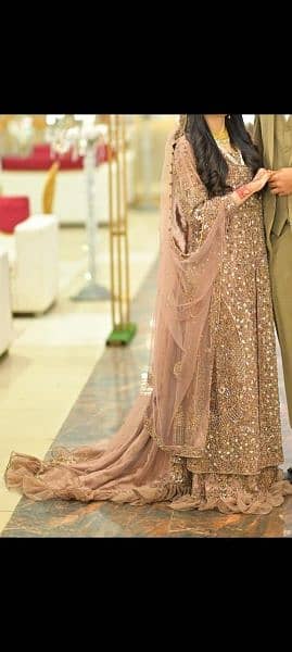 Bridal dress/wedding dress/wedding lehnga/walima dress/mehndi 3