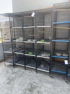 8 portions, 4 portions cages for love birds