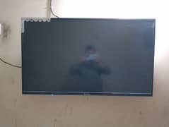 Ecostar 43 inches led for sale