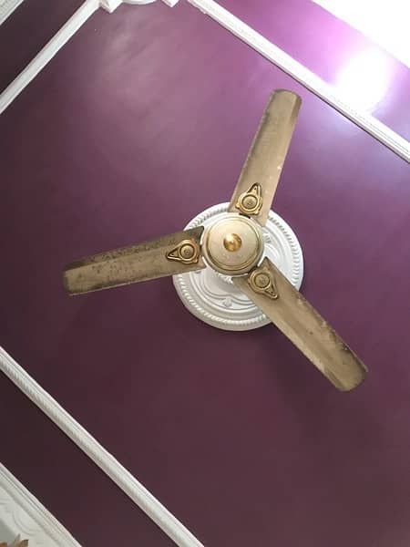 Ceiling Pak fans 1