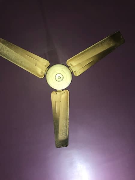 Ceiling Pak fans 3