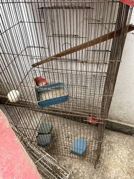 bird cages for sale 2