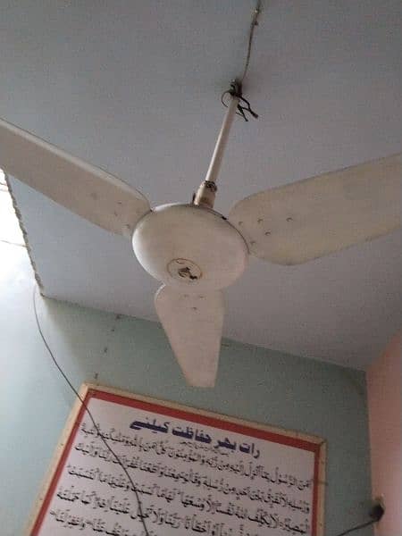 ceiling fan 220 0
